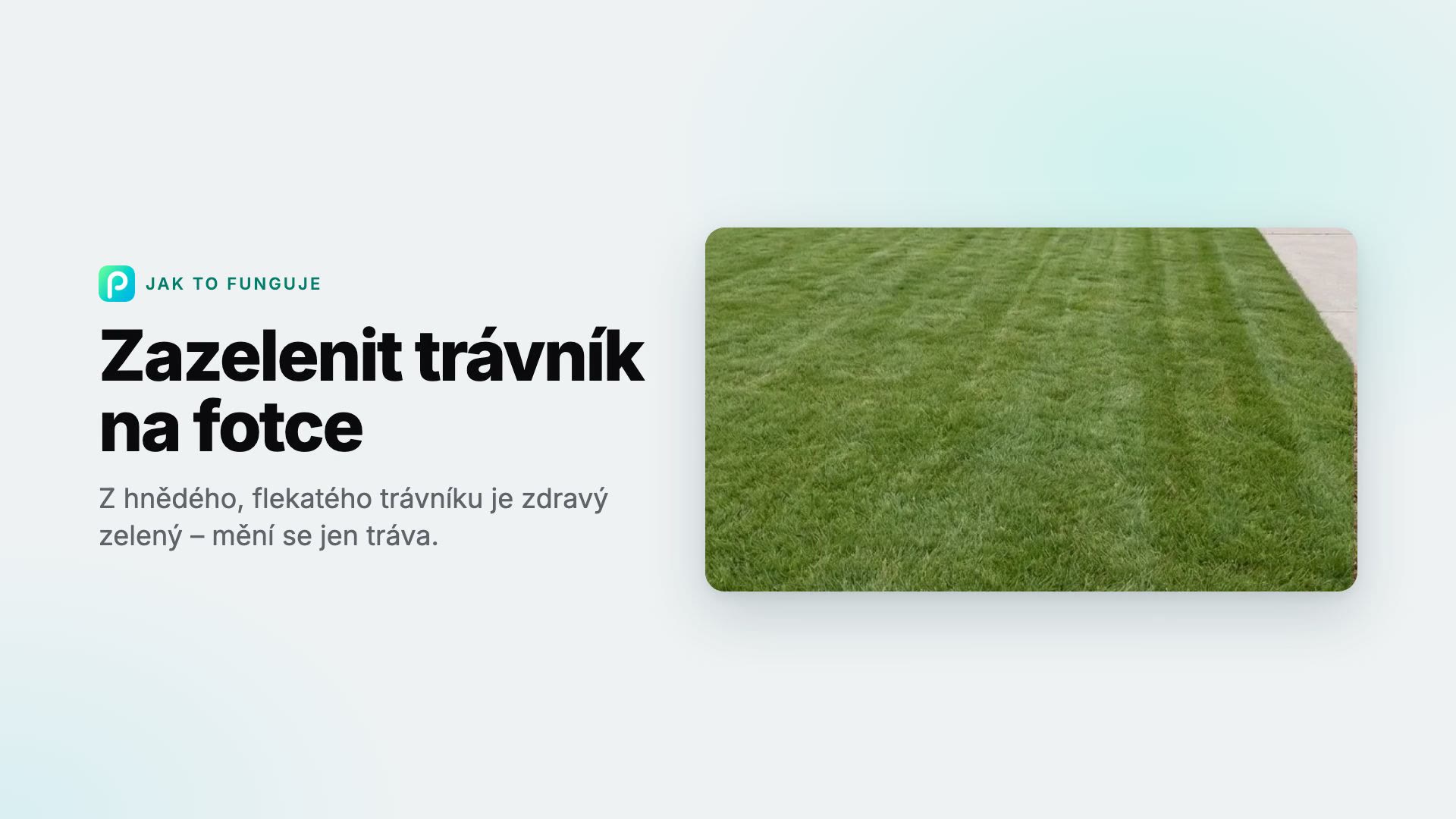 Jak v Pixly zazelenit trávník na fotce