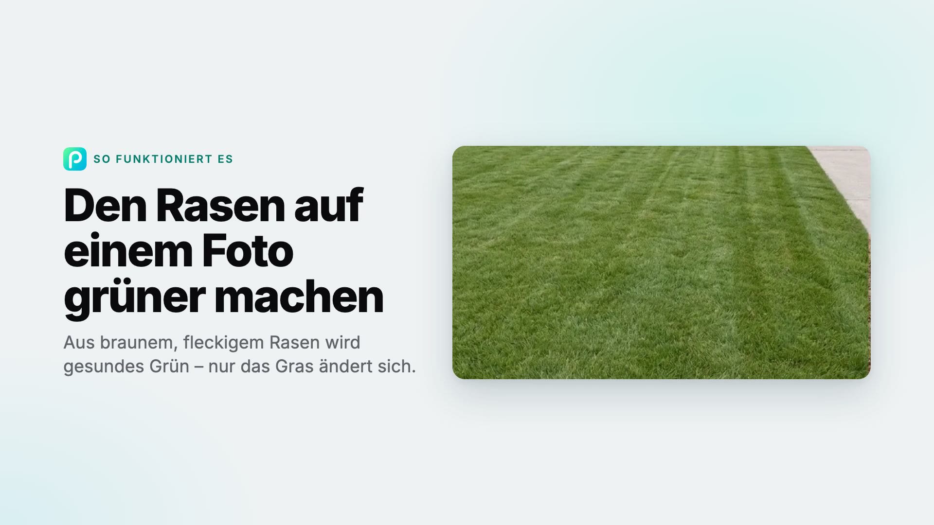 So machen Sie in Pixly den Rasen auf einem Foto grüner
