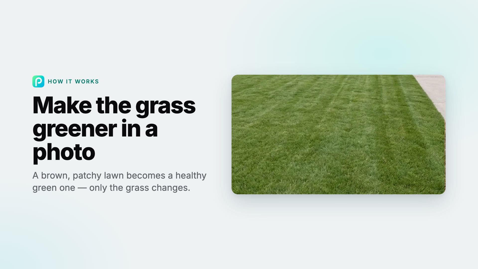 How to make grass greener in a photo in Pixly