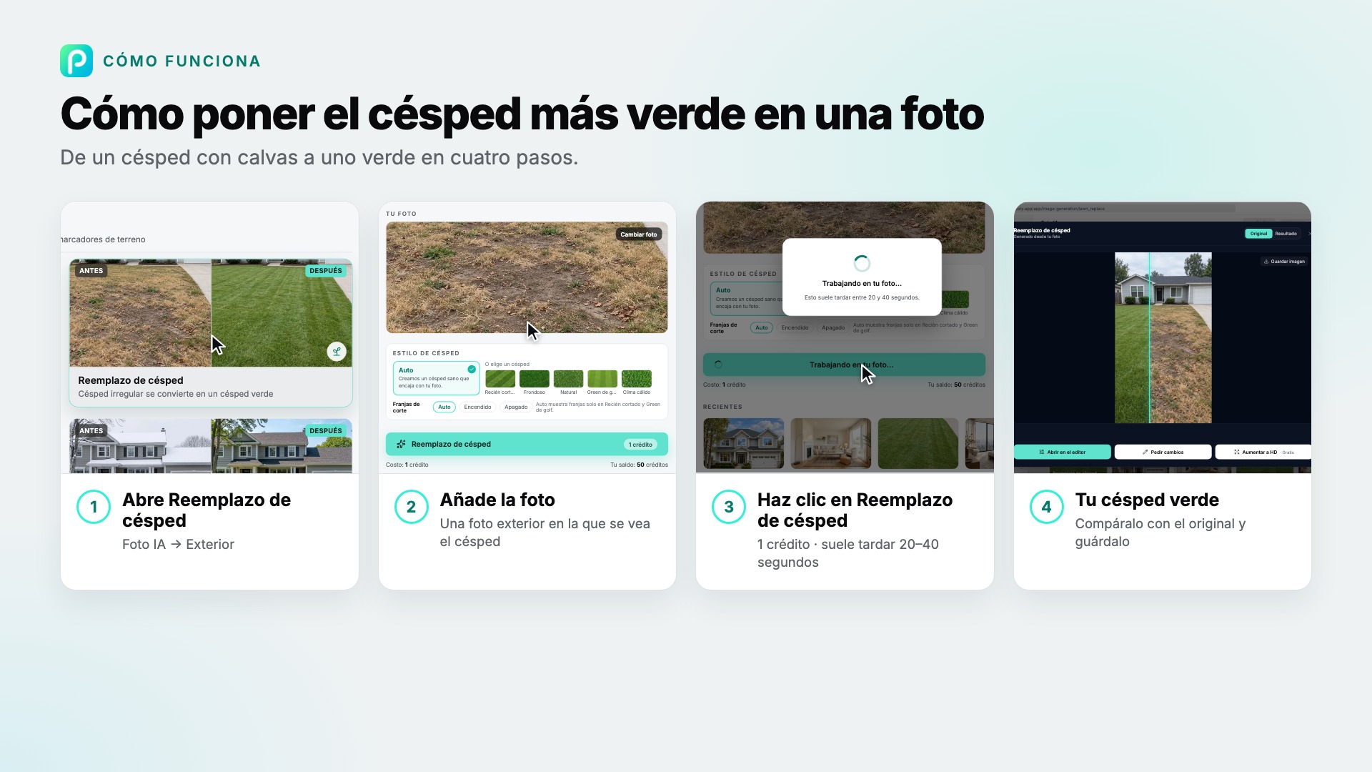 Los pasos de Reemplazo de césped en Pixly, con capturas de cada uno