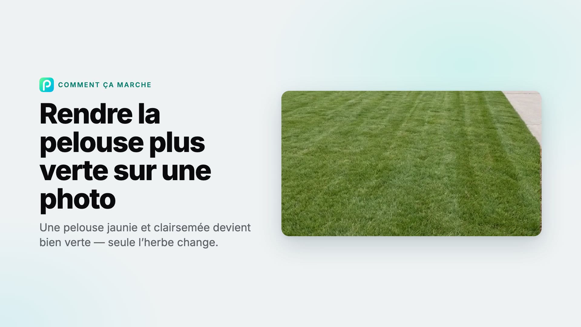 Comment rendre la pelouse plus verte sur une photo dans Pixly