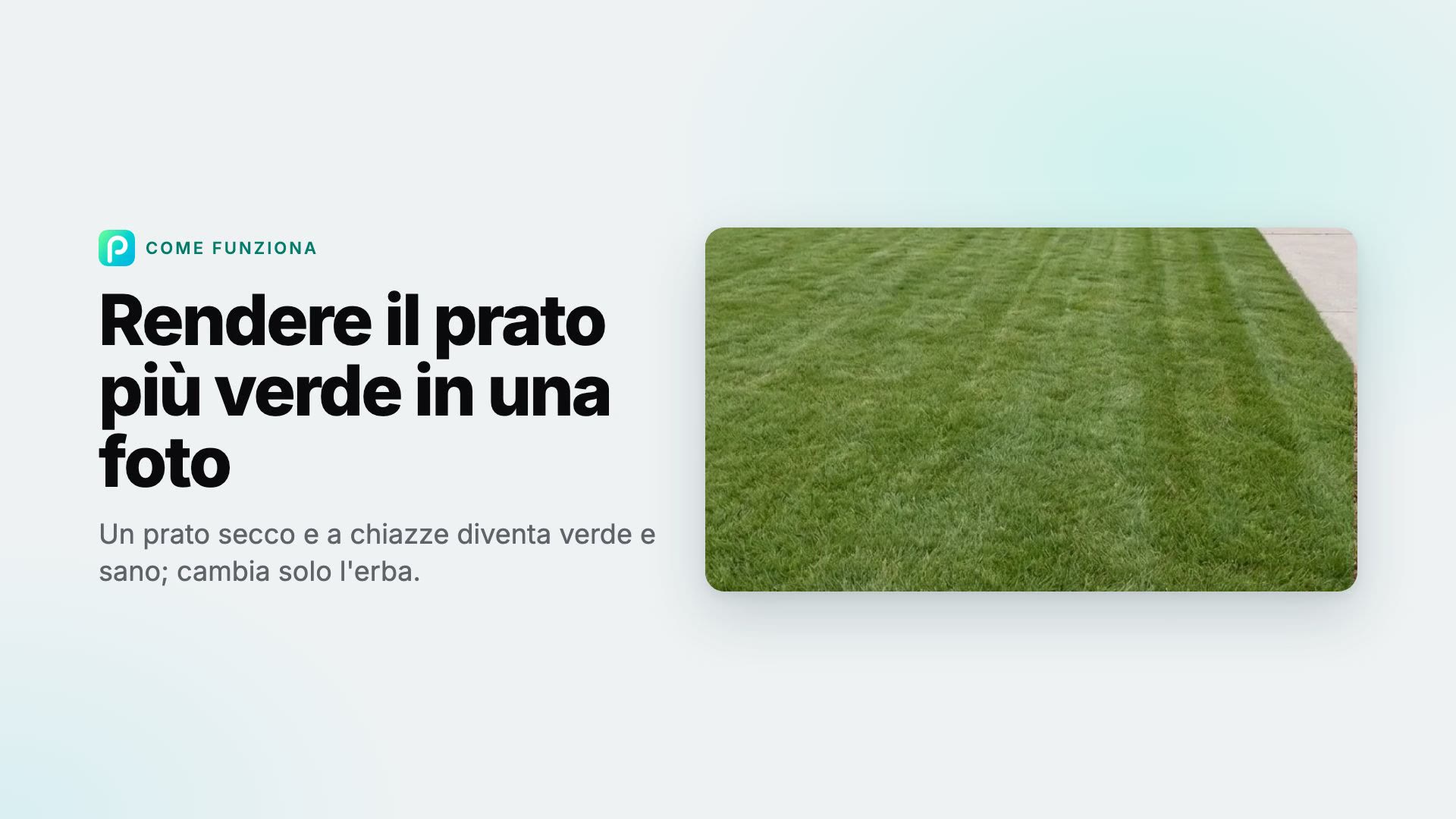 Come rendere il prato più verde in una foto con Pixly