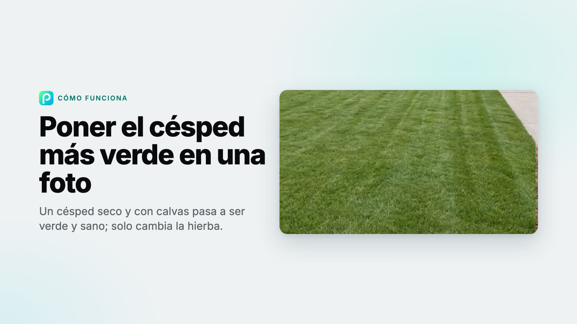 Cómo poner el césped más verde en una foto con Pixly