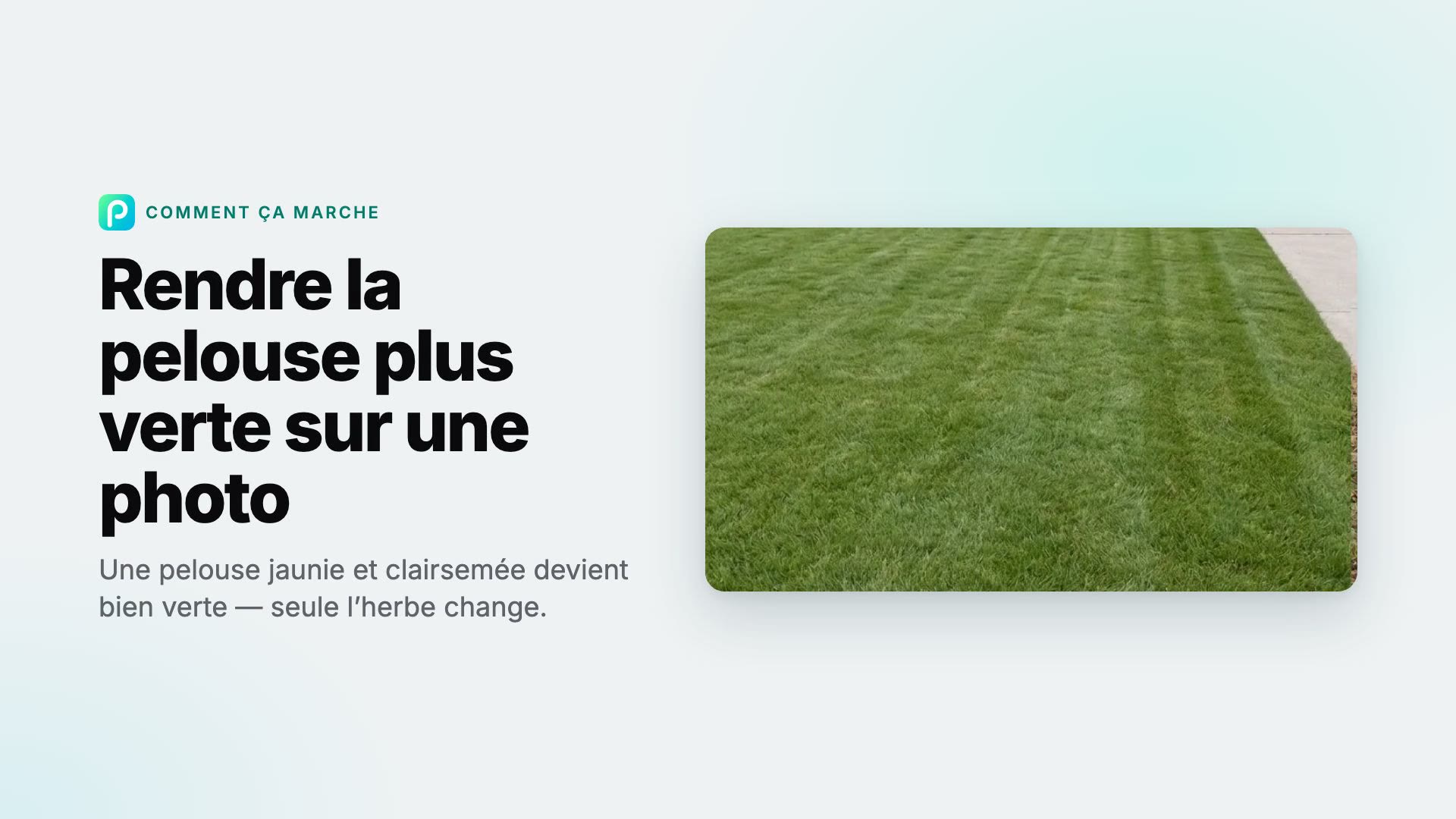 Comment rendre la pelouse plus verte sur une photo dans Pixly