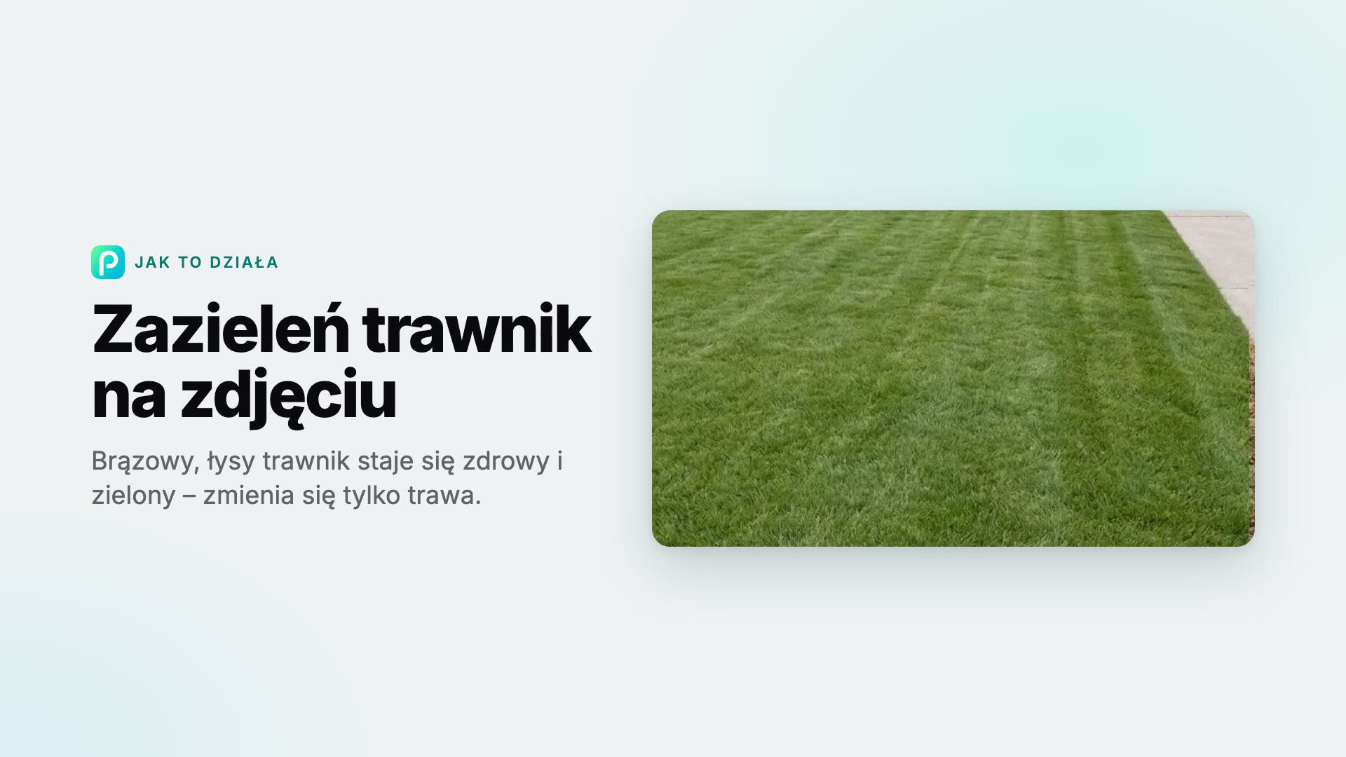 Jak zazielenić trawnik na zdjęciu w Pixly