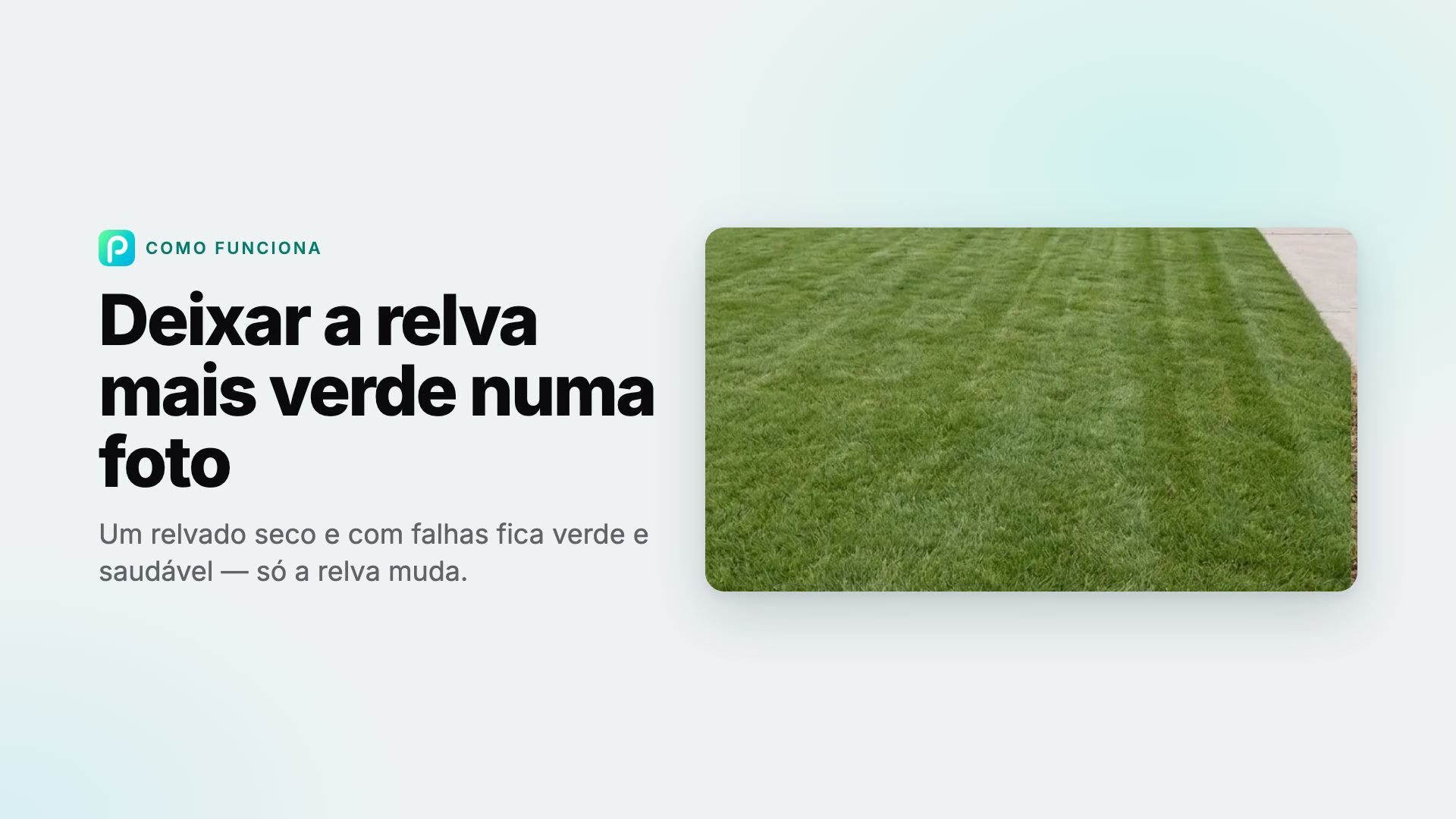 Como deixar a grama mais verde em uma foto no Pixly